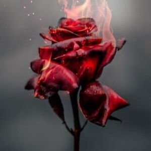 Meet your Posher, Helen